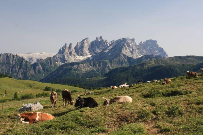 Hotel Stella Alpina فالكادي المظهر الخارجي الصورة