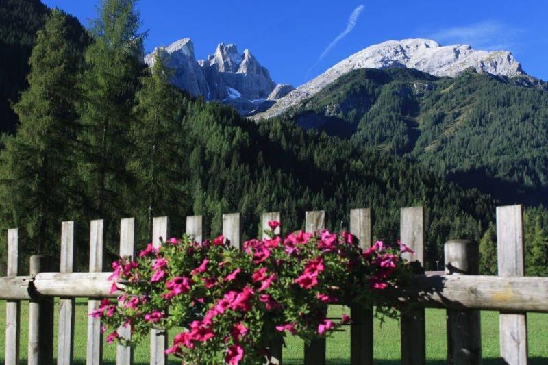 Hotel Stella Alpina فالكادي المظهر الخارجي الصورة