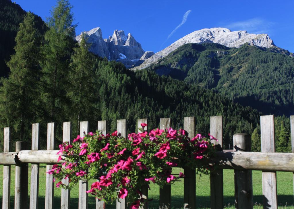Hotel Stella Alpina فالكادي المظهر الخارجي الصورة