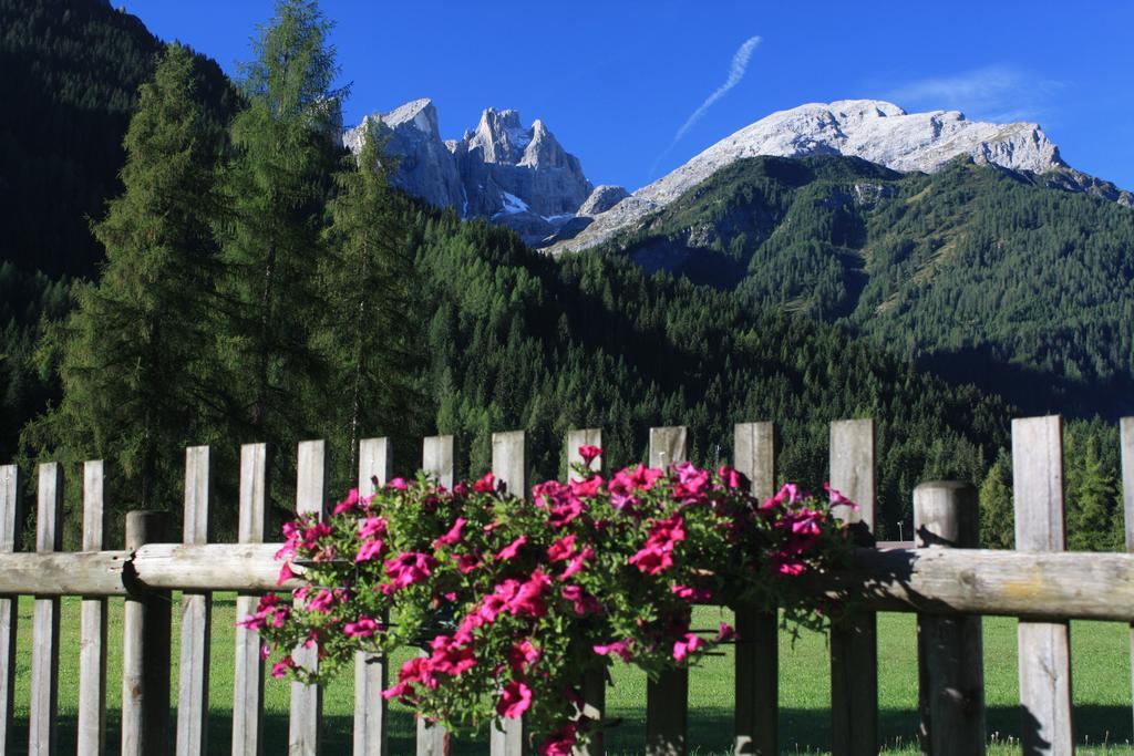 Hotel Stella Alpina فالكادي المظهر الخارجي الصورة